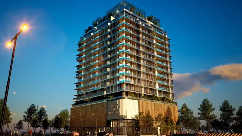 Sky Vista