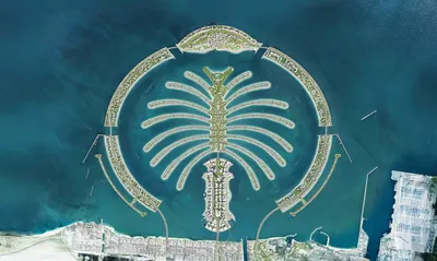 Palm Central, Foto 10