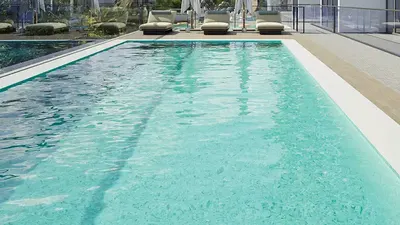 Floarea Breeze, Foto 3
